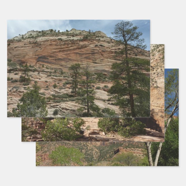 Work Rock Walls im Zion Nationalpark Geschenkpapier Set (Set)