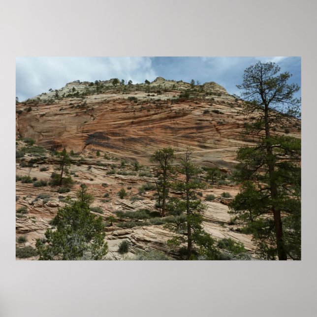 Work Rock Walls im Zion Nationalpark Poster (Vorne)