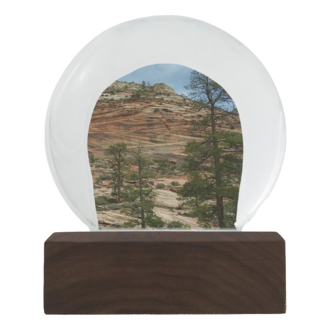 Work Rock Walls im Zion Nationalpark Schneekugel (Vorderseite)