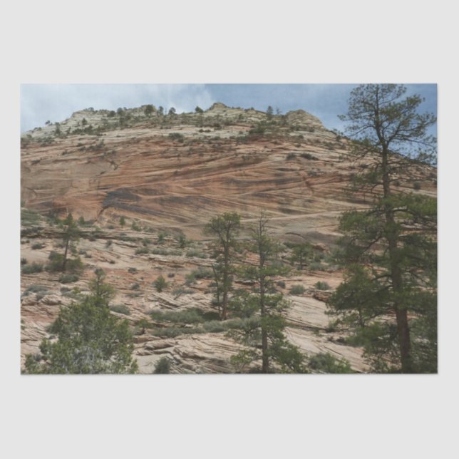 Work Rock Walls im Zion Nationalpark Seidenpapier (Vorderseite)