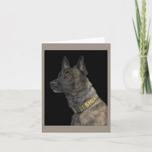 Working Dutch Shepherd Card - "K9 Yukon" Karte