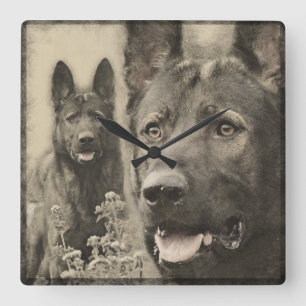 Working German Shepherd Dog - GSD Quadratische Wanduhr