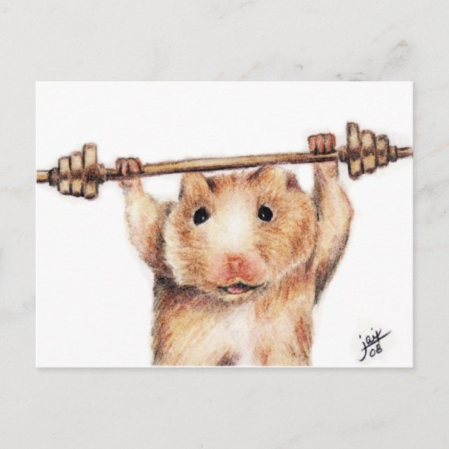 Workout (Hamster) Postkarten (Vorderseite)