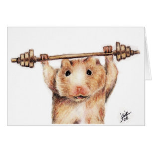 Workout-Karten (Hamster)