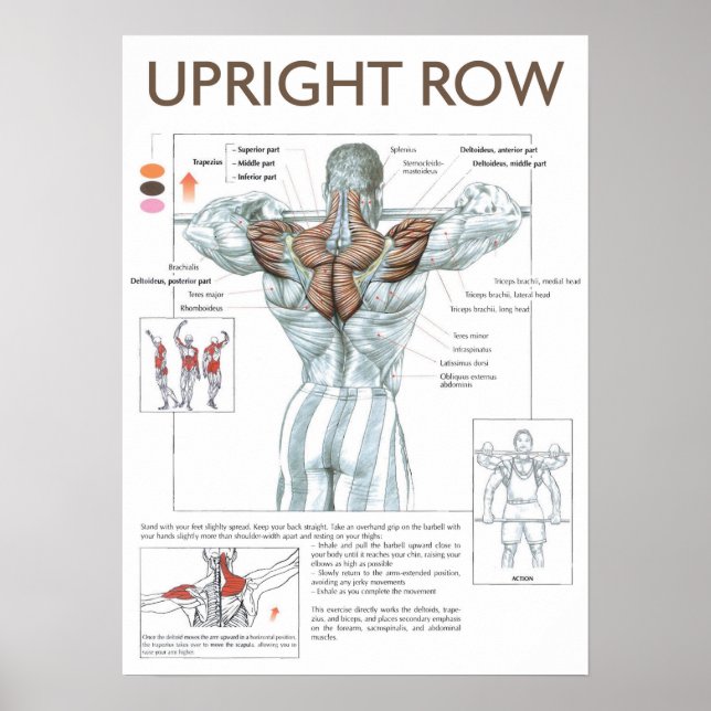 Workout Motivierend Poster (Vorne)