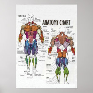 Workout Motivierend Poster