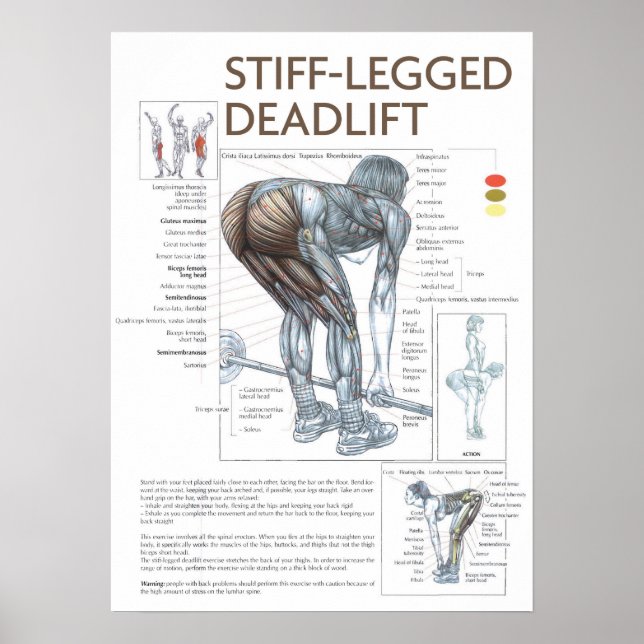 Workout Motivierend Poster (Vorne)