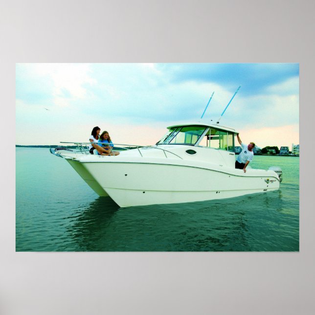 World Cat 270HT Poster (Vorne)