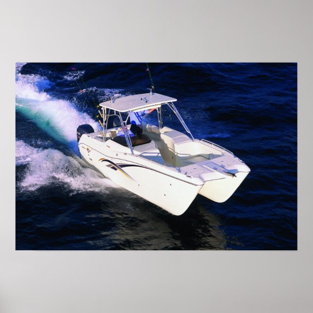 World Cat 270SD Poster (Vorne)