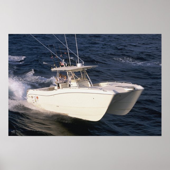 World Cat 330TE Poster (Vorne)