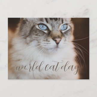 world Cat Day Postcard Postkarte