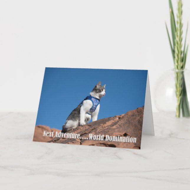 World Domination Cat notecard Ankündigung (Vorderseite)