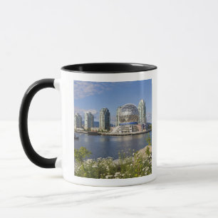 World of Science, Vancouver, British Columbia, Tasse