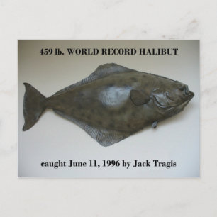 World Record Halibut gefangen im niederländischen  Postkarte