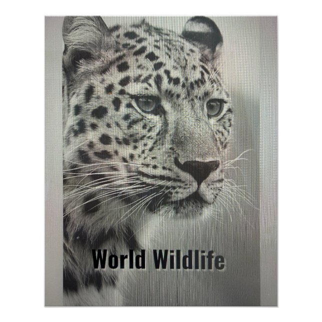 WORLD WILDLIFE POSTER (Vorderseite)