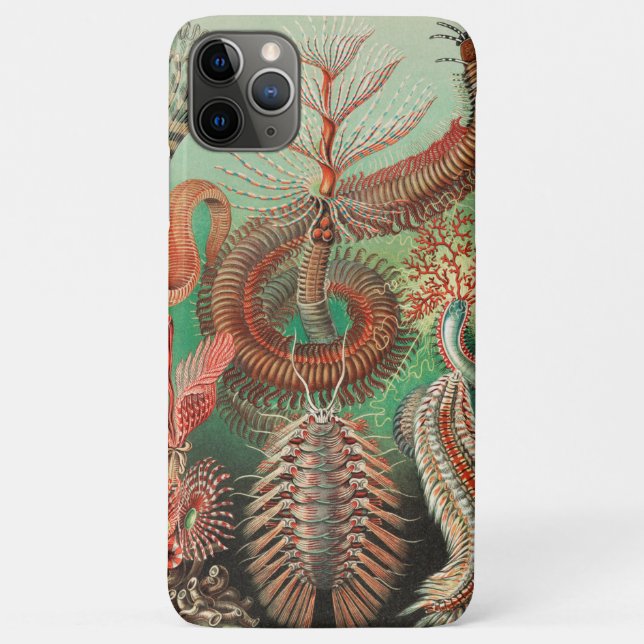 Worms, Annelids Chaetopoda von Ernst Haeckel Case-Mate iPhone Hülle (Rückseite)