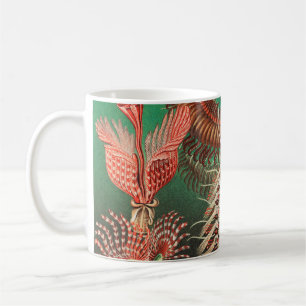 Worms, Annelids Chaetopoda von Ernst Haeckel Kaffeetasse