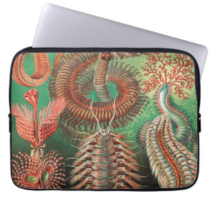 Worms, Annelids Chaetopoda von Ernst Haeckel Laptopschutzhülle