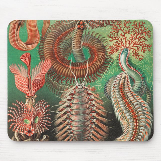 Worms, Annelids Chaetopoda von Ernst Haeckel Mousepad (Vorne)