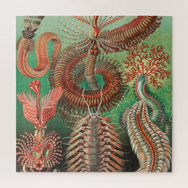 Worms, Annelids Chaetopoda von Ernst Haeckel Puzzle (Vertikal)