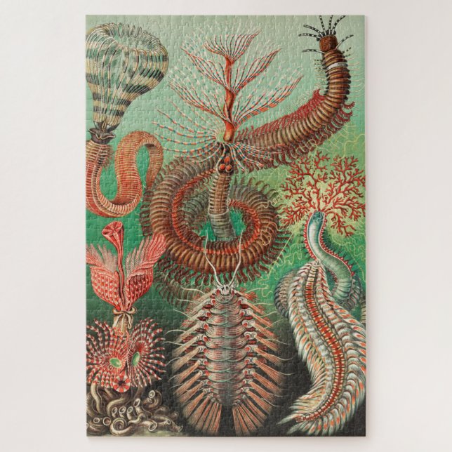 Worms, Annelids Chaetopoda von Ernst Haeckel Puzzle (Vertikal)