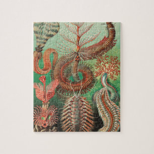 Worms, Annelids Chaetopoda von Ernst Haeckel Puzzle