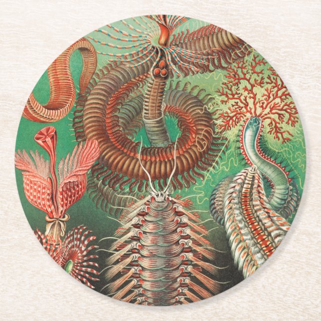 Worms, Annelids Chaetopoda von Ernst Haeckel Runder Pappuntersetzer (Vorderseite)