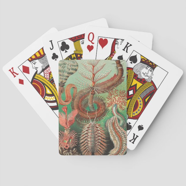 Worms, Annelids Chaetopoda von Ernst Haeckel Spielkarten (Rückseite)