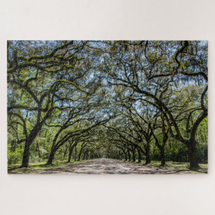 Wormsloe Historic Site Puzzle