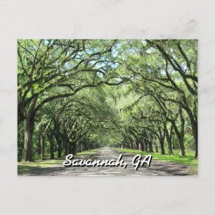 Wormsloe Plantation Savannah Postcard Postkarte