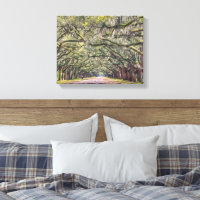 Wormsloe Savannah Leinwand Wall Art 11x14