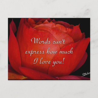 Worte können nicht ausdrücken postkarte