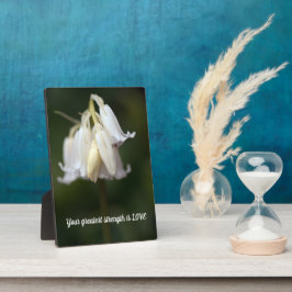 Wörter der Weisheit Tabletop Plaque mit Easel Fotoplatte