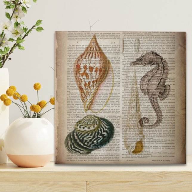 Wörterbuchausdruck Französisch botanische Strandse Fliese (dictionary print french botanical beach seashells ceramic tile)
