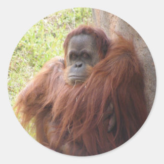 Worüber gibt es zum Lächeln? Runder Aufkleber