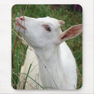 Wow! Dieses Gras ist größer als ich Mousepad