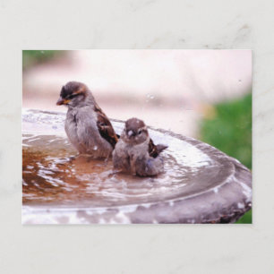 Wow, dieses Kind ist wild! Postkarte