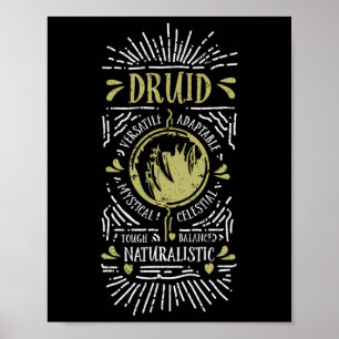 Wow Druide Rollenspiel-Gamer 1 Poster