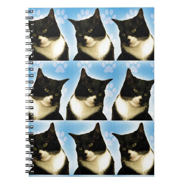 Wow fun Tuxedo Cat Liebe Niedliches Foto Muster Notizblock (Vorderseite)