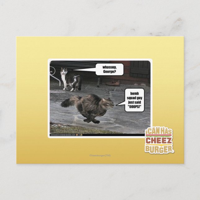 Wow, George? Postkarte (Vorderseite)