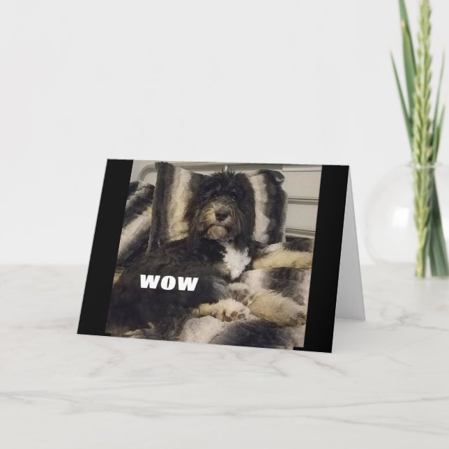 WOW GLAUBT NUR NICHT, DASS SIE "40"-KARTE SIND KARTE (Vorderseite)