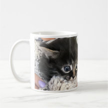 Wow, I Admire You! Cat Coffee Mug