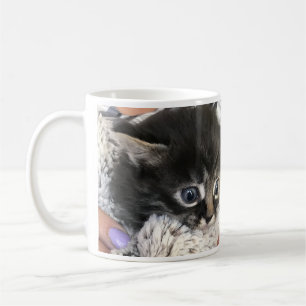 Wow, ich bewundere dich! Katzen-Kaffeetasse Kaffeetasse