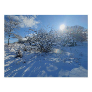 Wow ist der Winter der Künstlerinhalte Poster