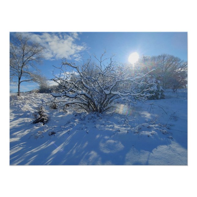 Wow ist der Winter der Künstlerinhalte Poster (Vorderseite)