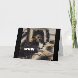 WOW KANN NUR NICHT GLAUBEN, DASS SIE "60"-KARTE SI KARTE