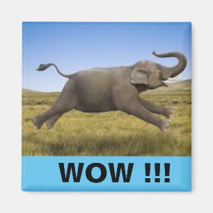 WOW Magnet