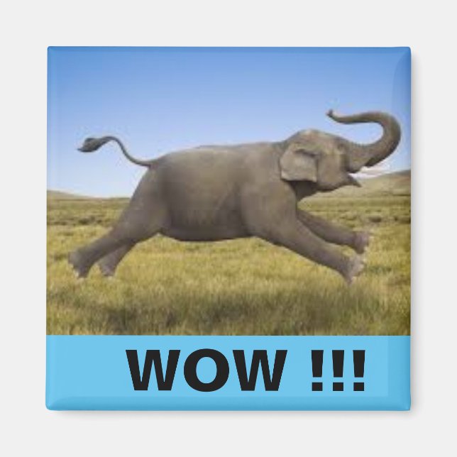 WOW Magnet (Vorne)