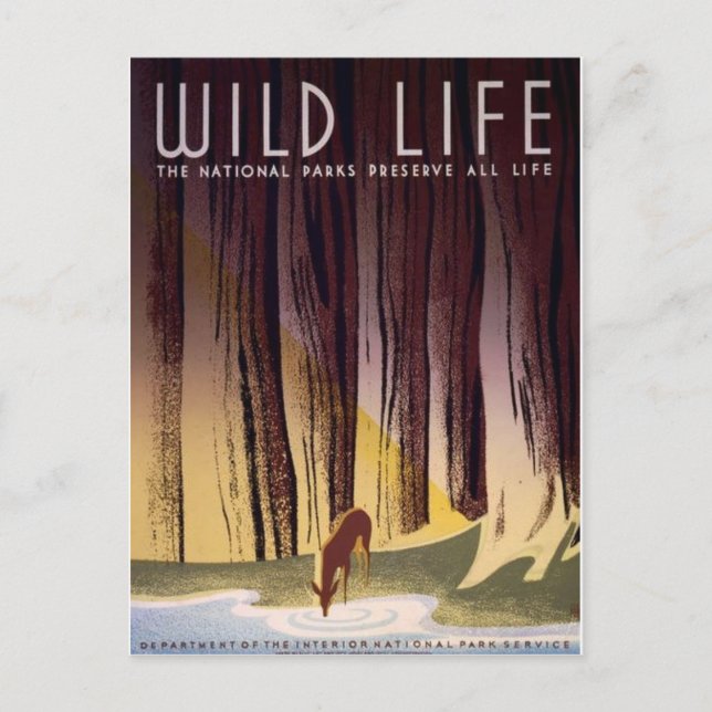 WPA-Postkarte für Nationalparks Postkarte (Vorderseite)