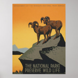 WPA Vintage Nationalpark-Tier-Reise Poster